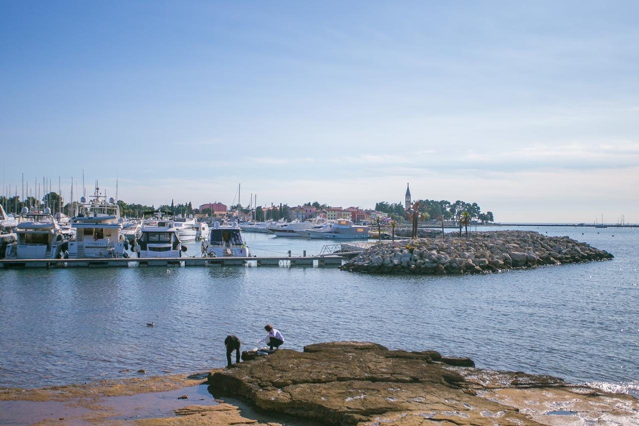 Apartmán Morena Novigrad Istria
